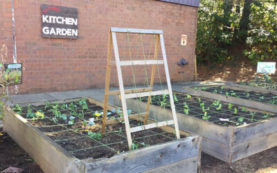 School Gardens: It’s not Just About the Flowers