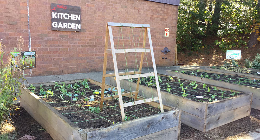 School Gardens: It’s not Just About the Flowers
