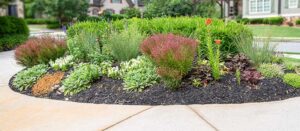 Jennifer Rust Botanicals - Small garden