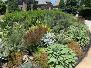 Jennifer Rust Botanicals - Small Gardens