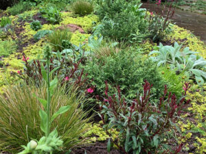 Jennifer Rust Botanicals - Small Garden