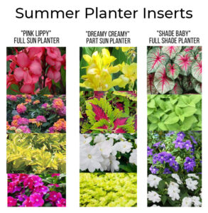 Summer Subscription Planters are here