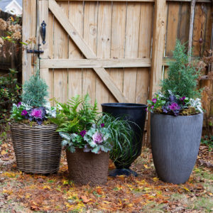 Trio of containers with Winter planter inserts