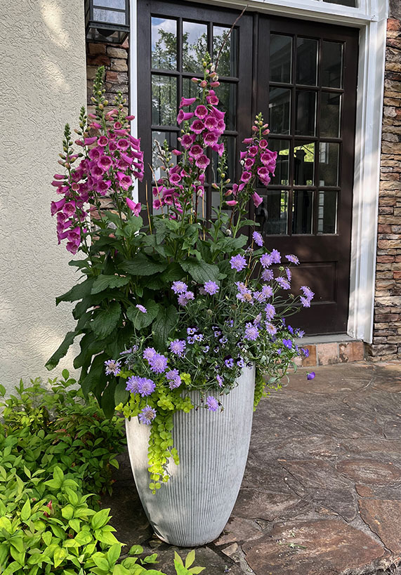 HOME - Front Door Planter