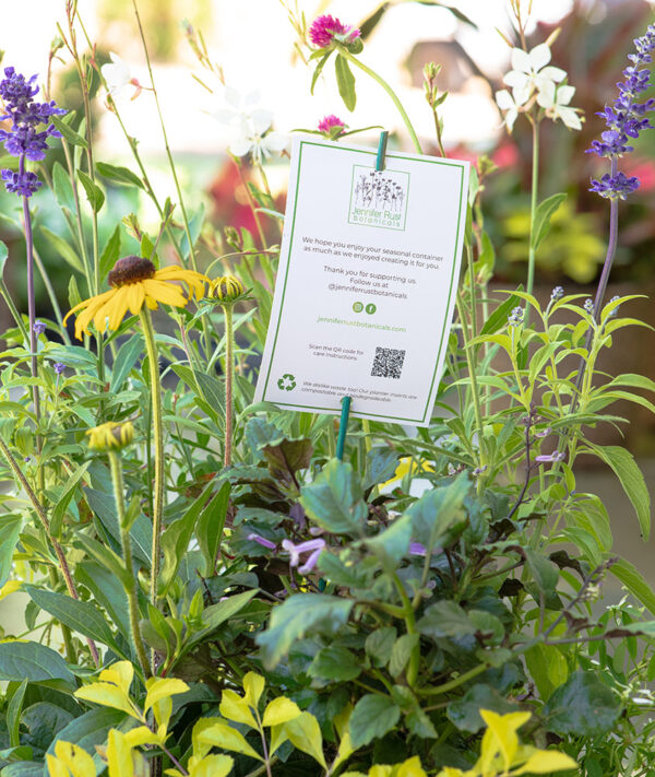 Planter Insert Only - Image 3